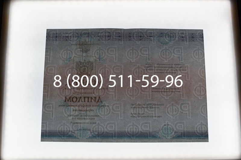 Заказать Диплом о среднем образовании 2014-2026 года в Санкт-Петербурге