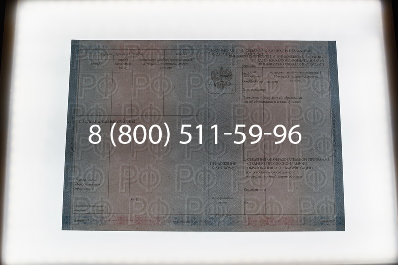 Заказать Диплом о среднем образовании 2014-2026 года в Санкт-Петербурге