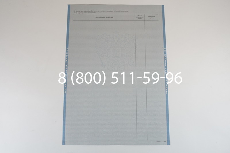 Диплом о высшем образовании 2003-2009 годов в Санкт-Петербурге