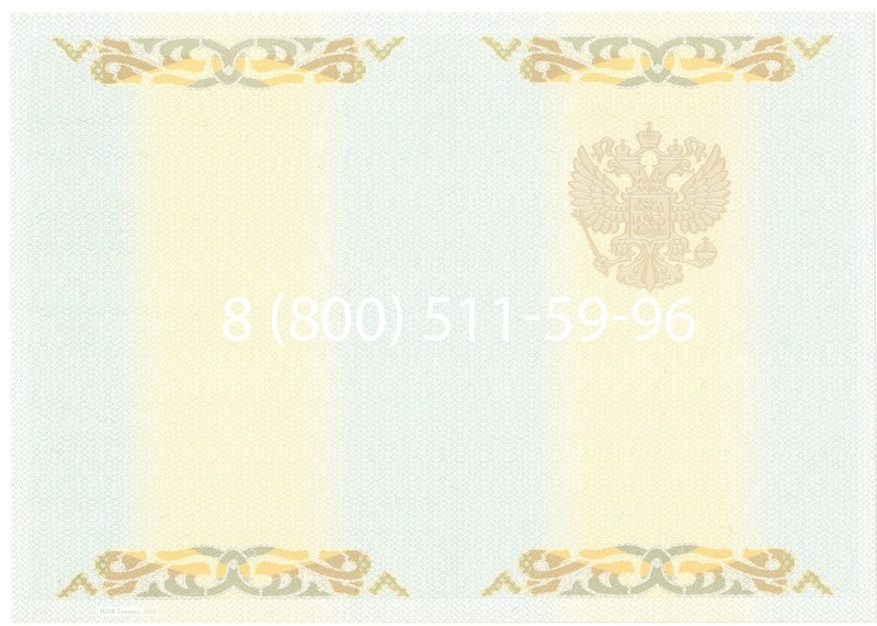 Заказать Диплом о высшем образовании 2003-2009 годов в Санкт-Петербурге