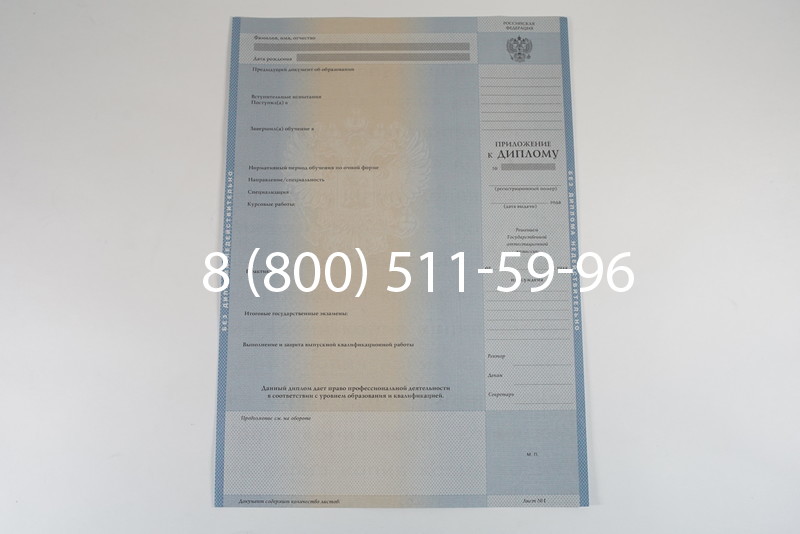 Диплом о высшем образовании 2003-2009 годов в Санкт-Петербурге