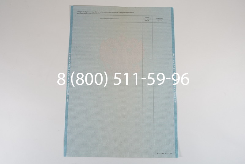Диплом о высшем образовании 2010-2011 годов в Санкт-Петербурге