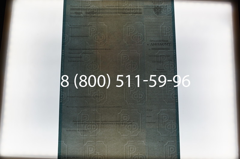 Заказать Диплом о высшем образовании 2010-2011 годов в Санкт-Петербурге