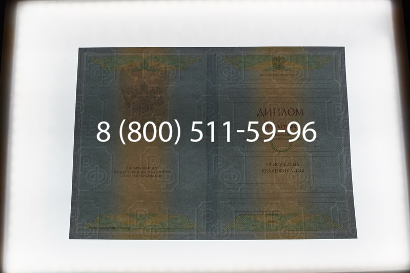Заказать Диплом о высшем образовании 2010-2011 годов в Санкт-Петербурге