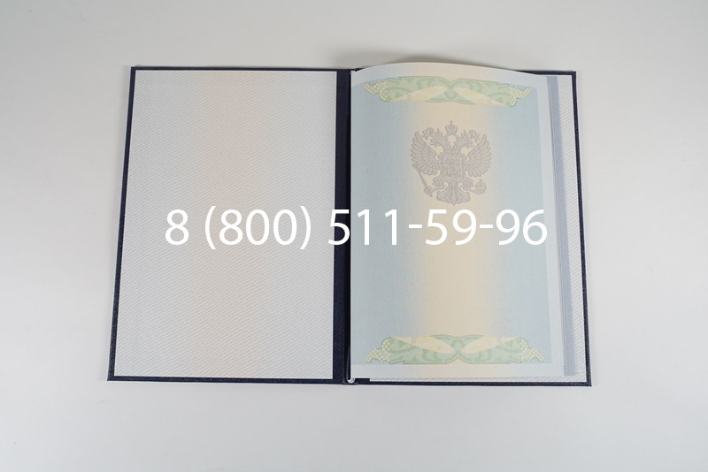 Диплом о высшем образовании 2010-2011 годов в Санкт-Петербурге