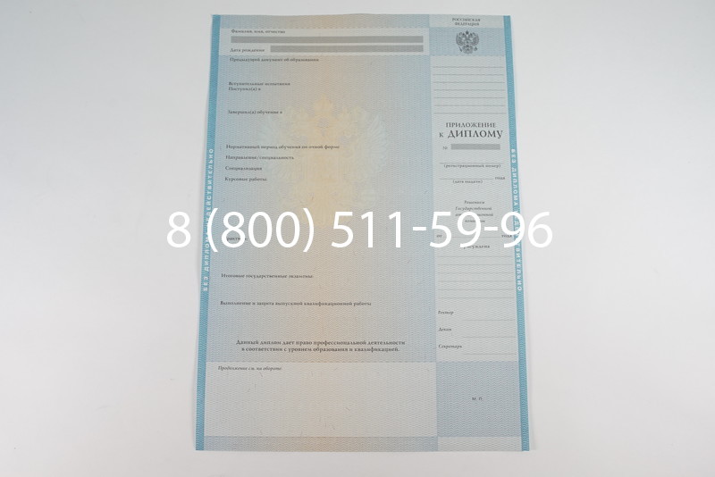 Диплом о высшем образовании 2010-2011 годов в Санкт-Петербурге