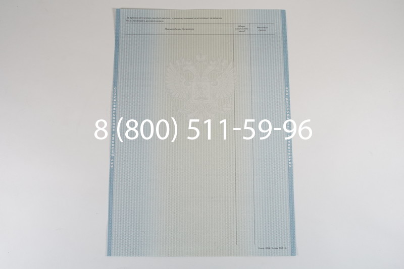 Диплом о высшем образовании 2012-2013 годов в Санкт-Петербурге