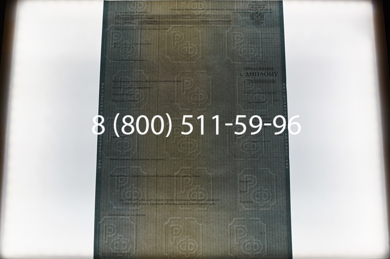 Заказать Диплом о высшем образовании 2012-2013 годов в Санкт-Петербурге