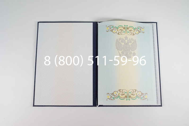 Диплом о высшем образовании 2012-2013 годов в Санкт-Петербурге