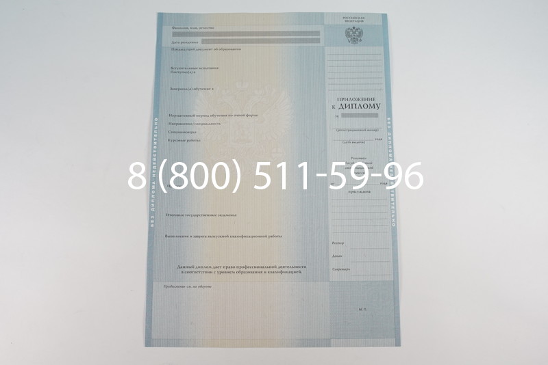 Диплом о высшем образовании 2012-2013 годов в Санкт-Петербурге