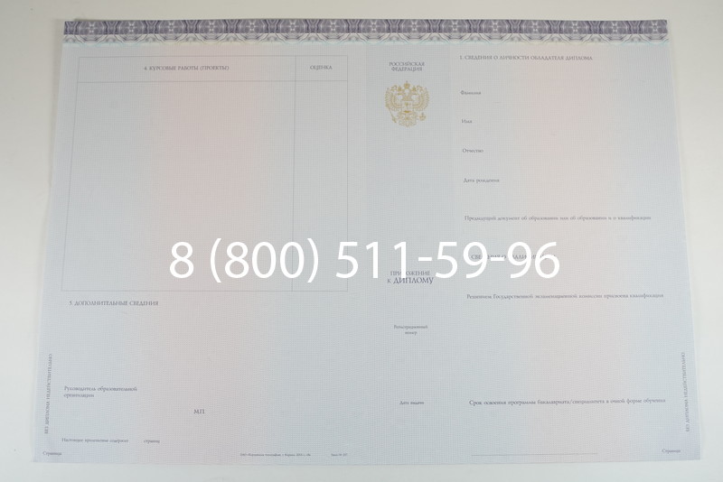 Диплом специалиста (КИРЖАЧ) 2014-2026 года в Санкт-Петербурге