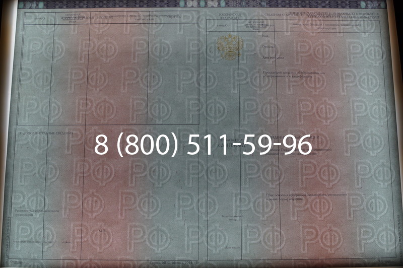 Заказать Диплом специалиста 2014-2026 года в Санкт-Петербурге