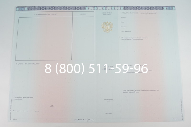 Диплом специалиста 2014-2026 года в Санкт-Петербурге