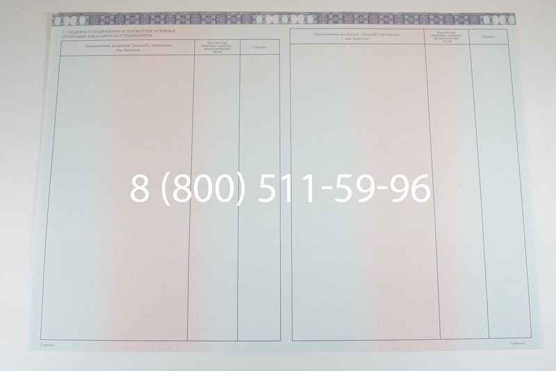 Диплом специалиста 2014-2026 года в Санкт-Петербурге