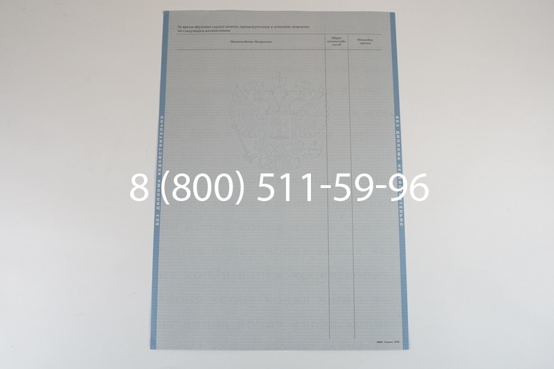 Диплом специалиста 2003-2009 годов в Санкт-Петербурге