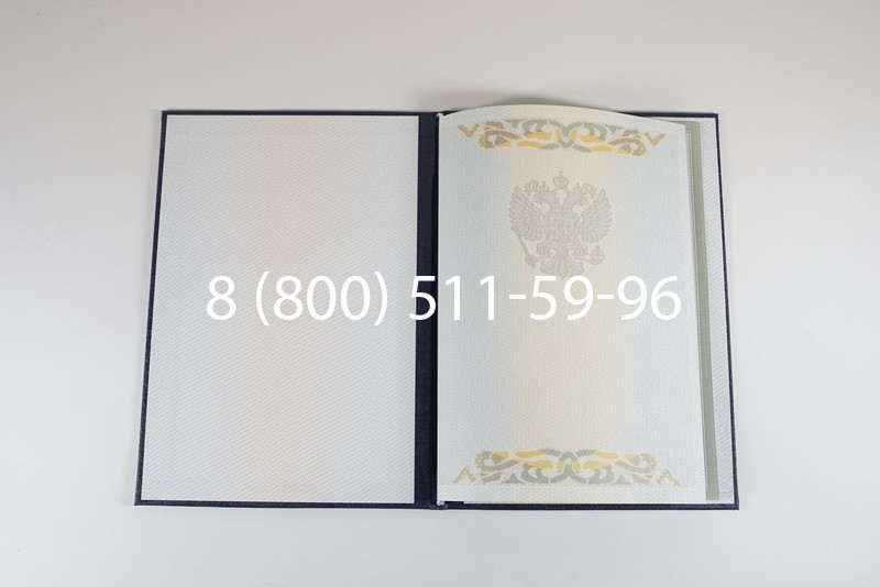 Диплом специалиста 2003-2009 годов в Санкт-Петербурге