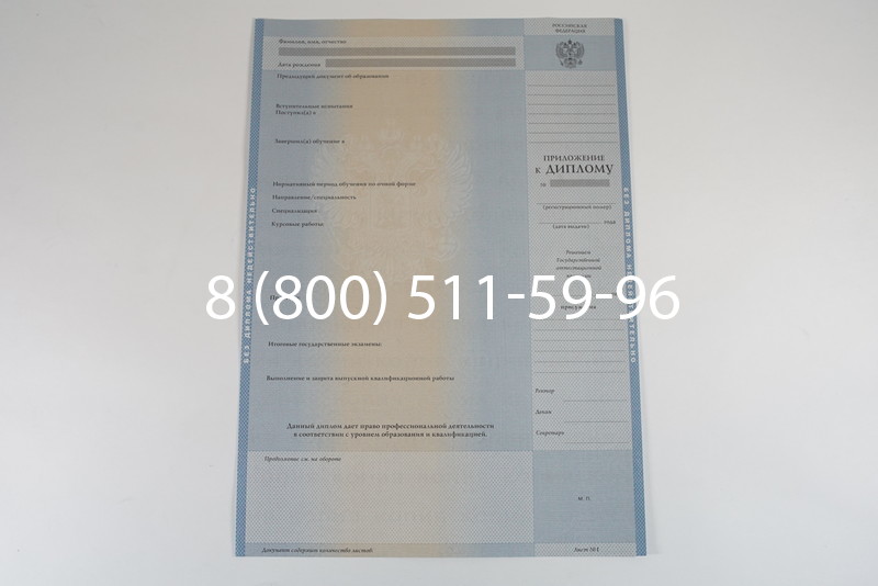 Диплом специалиста 2003-2009 годов в Санкт-Петербурге