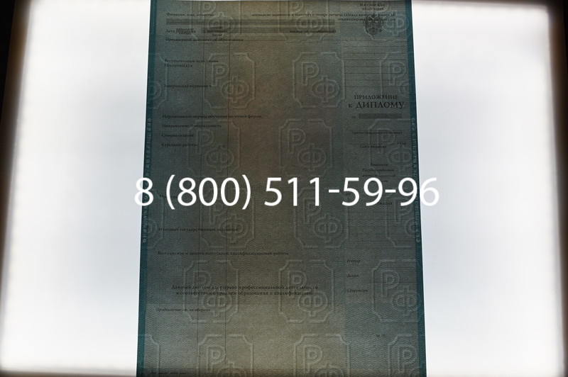 Заказать Диплом специалиста 2010-2011 годов в Санкт-Петербурге
