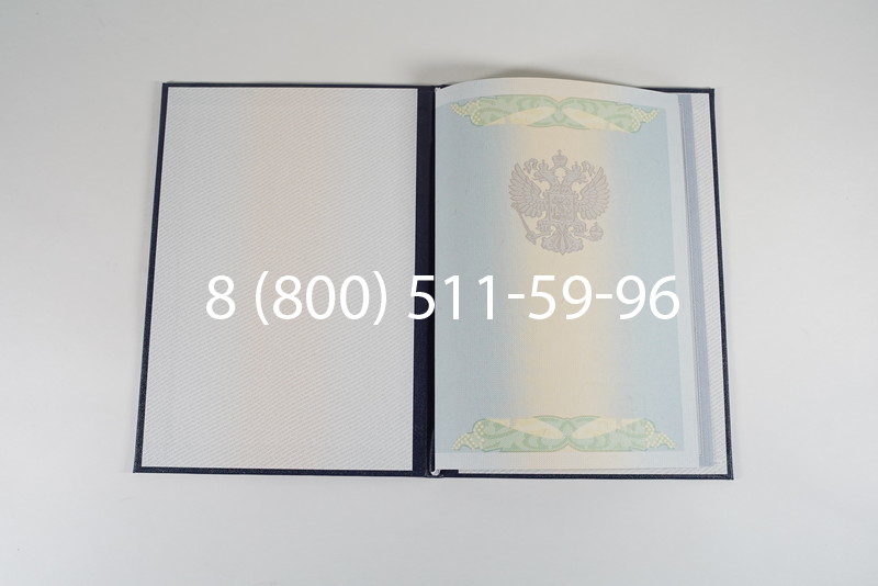 Диплом специалиста 2010-2011 годов в Санкт-Петербурге