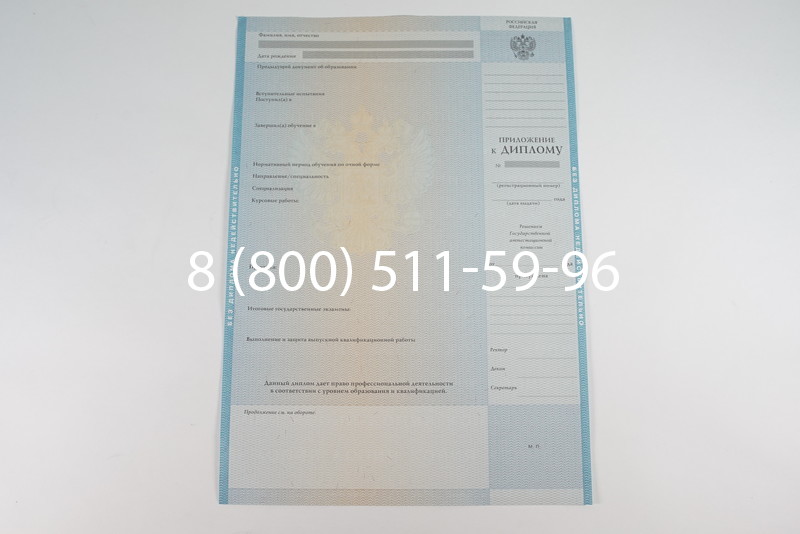 Диплом специалиста 2010-2011 годов в Санкт-Петербурге