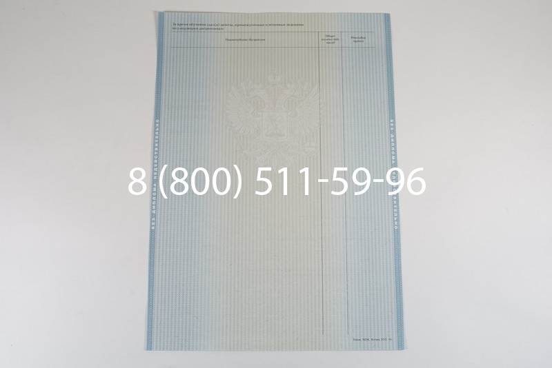 Диплом специалиста 2012-2013 годов в Санкт-Петербурге