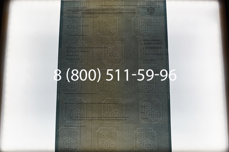 Заказать Диплом специалиста 2012-2013 годов в Санкт-Петербурге