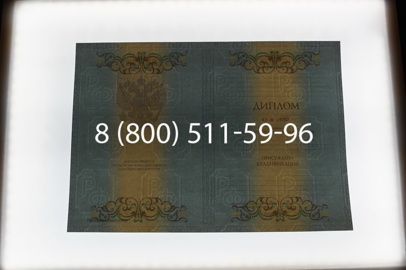 Заказать Диплом специалиста 2012-2013 годов в Санкт-Петербурге