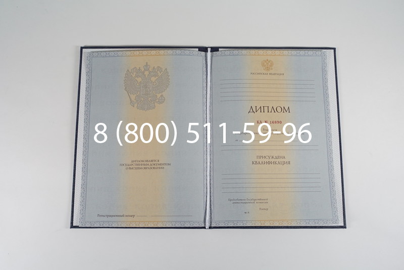 Диплом специалиста 2012-2013 годов в Санкт-Петербурге