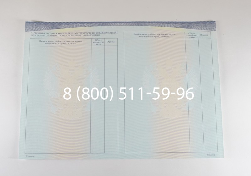 Диплом колледжа (Спецбланк) 2014-2026 года в Санкт-Петербурге