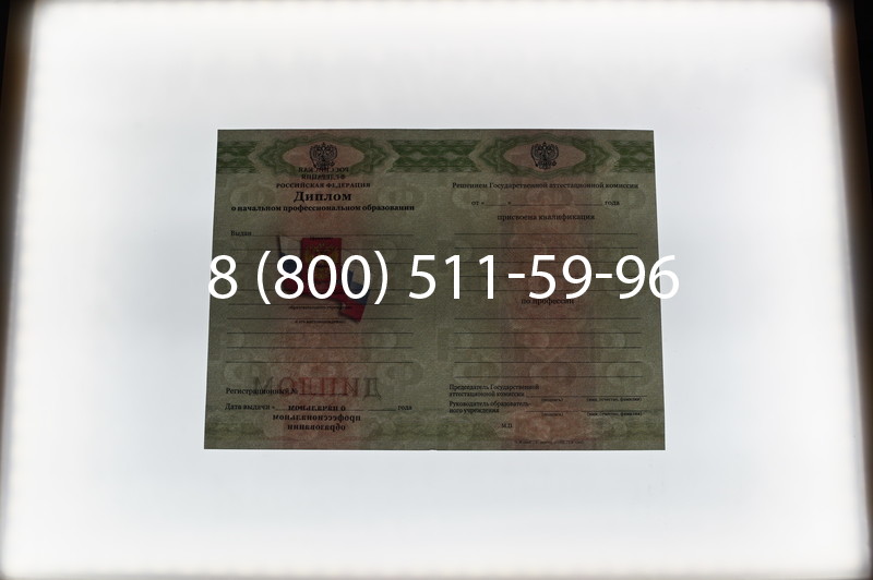 Заказать Диплом училища 2010 год в Санкт-Петербурге