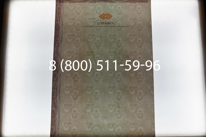 Купить Справка об обучении в Санкт-Петербурге