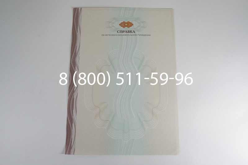 Заказать Справка об обучении в Санкт-Петербурге
