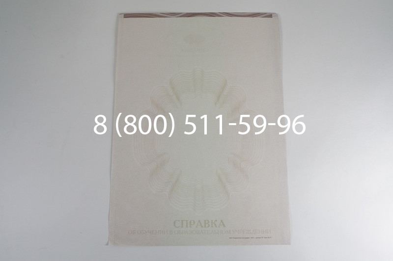 Заказать Справка об обучении в Санкт-Петербурге