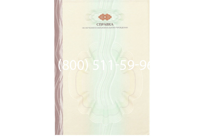 Купить Справка об обучении в Санкт-Петербурге