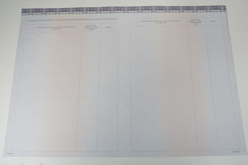 Красный Диплом (с приложением) в Санкт-Петербурге